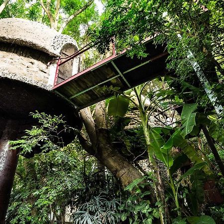 Dao Anh Khanh Tree House Ανόι Εξωτερικό φωτογραφία