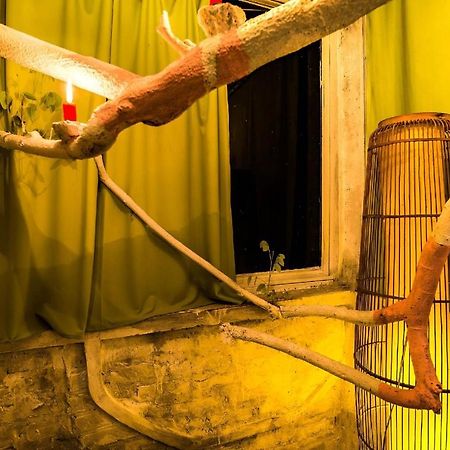 Dao Anh Khanh Tree House Ανόι Εξωτερικό φωτογραφία