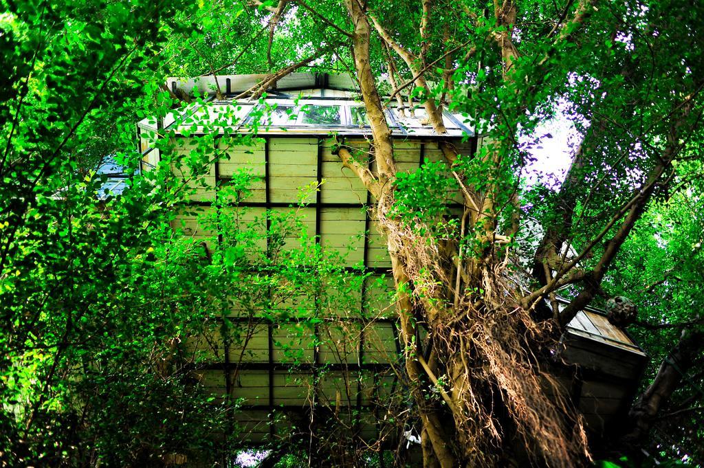 Dao Anh Khanh Tree House Ανόι Δωμάτιο φωτογραφία