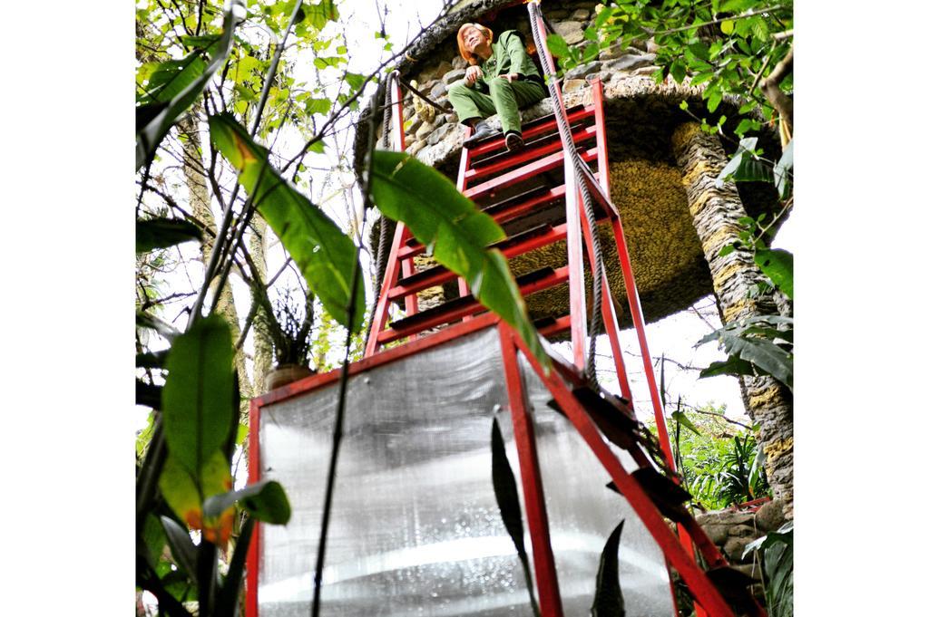Dao Anh Khanh Tree House Ανόι Δωμάτιο φωτογραφία