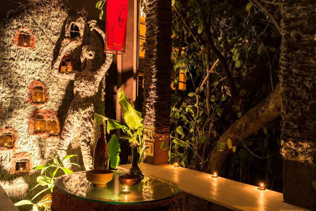 Dao Anh Khanh Tree House Ανόι Εξωτερικό φωτογραφία