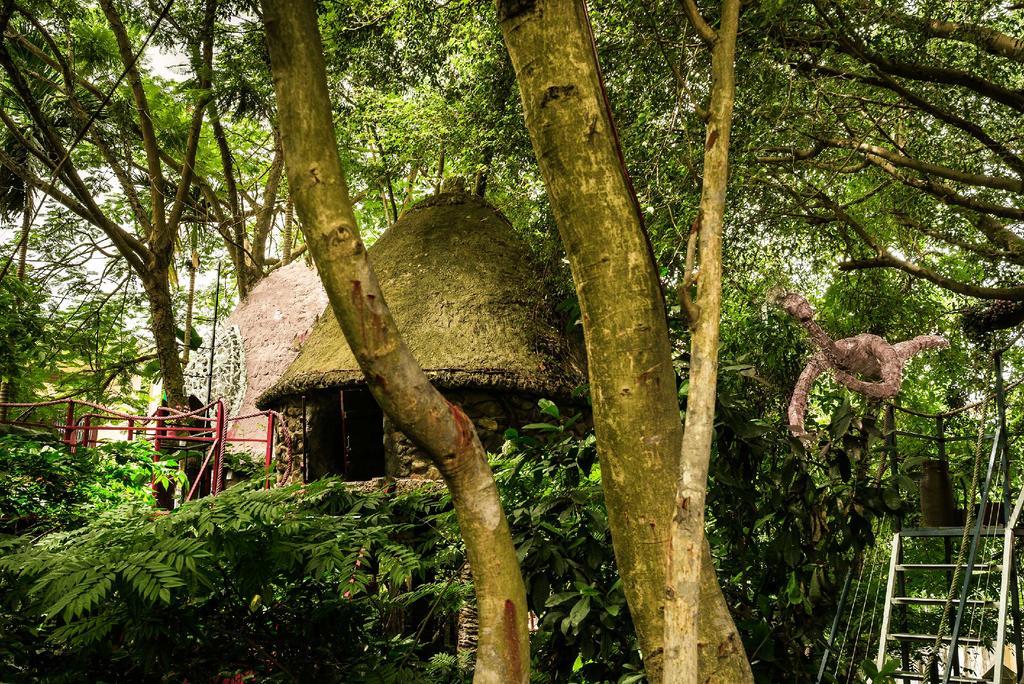 Dao Anh Khanh Tree House Ανόι Εξωτερικό φωτογραφία