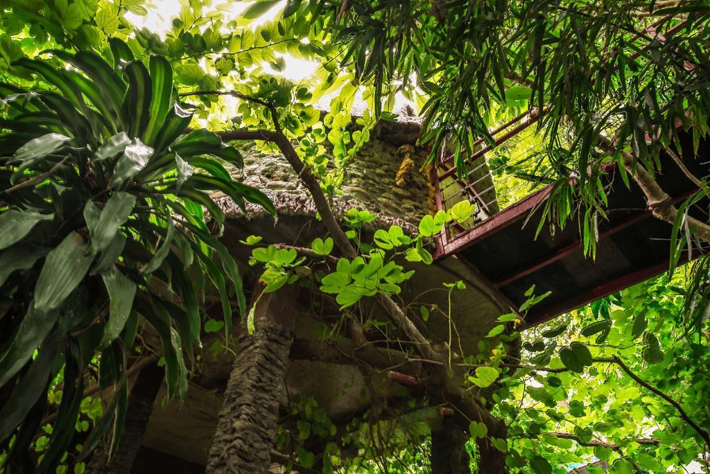 Dao Anh Khanh Tree House Ανόι Εξωτερικό φωτογραφία