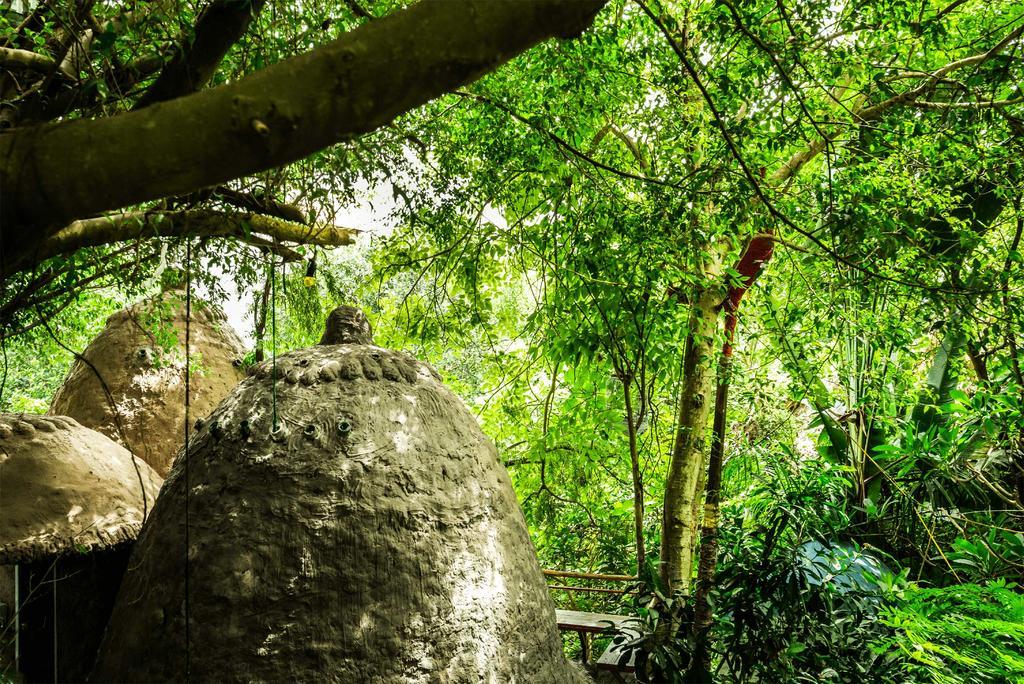 Dao Anh Khanh Tree House Ανόι Εξωτερικό φωτογραφία