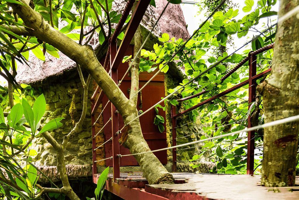 Dao Anh Khanh Tree House Ανόι Εξωτερικό φωτογραφία