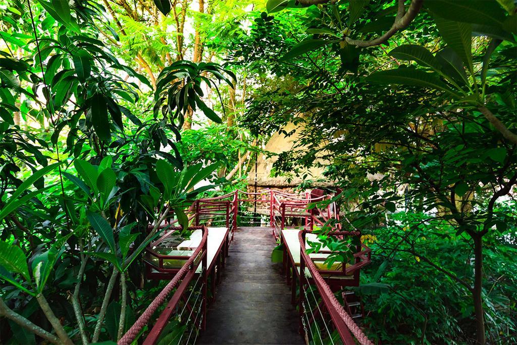 Dao Anh Khanh Tree House Ανόι Εξωτερικό φωτογραφία