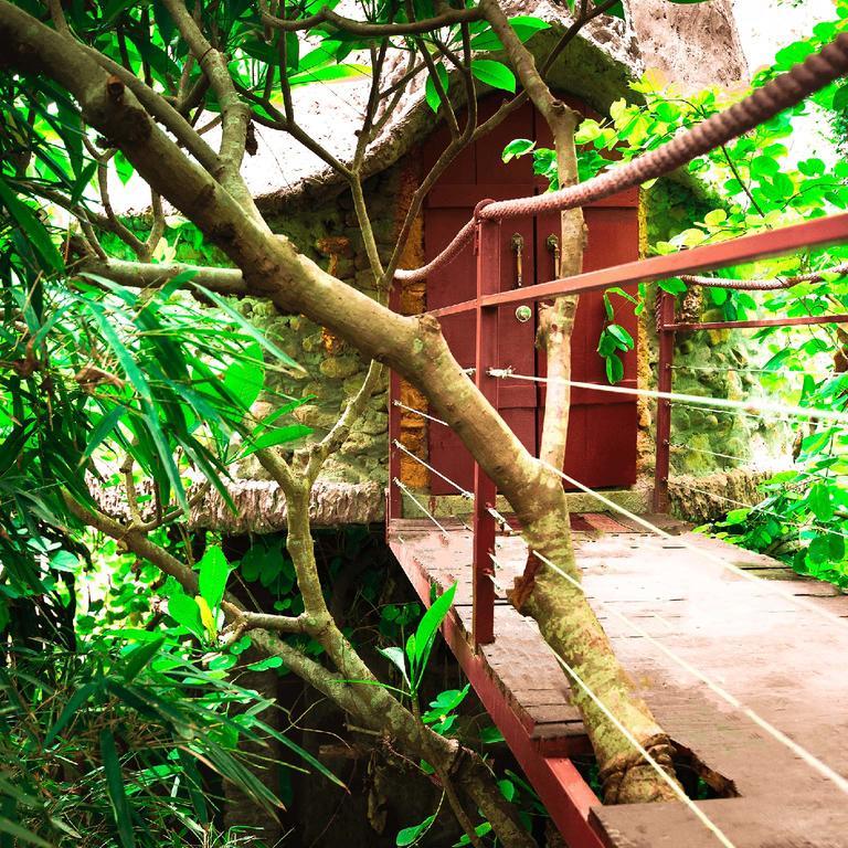 Dao Anh Khanh Tree House Ανόι Εξωτερικό φωτογραφία