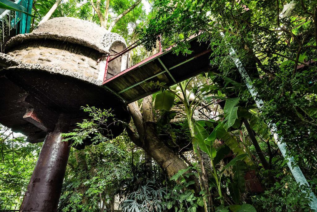 Dao Anh Khanh Tree House Ανόι Εξωτερικό φωτογραφία