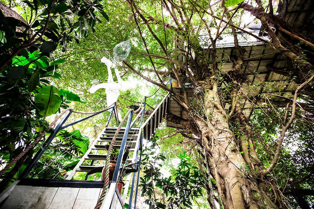Dao Anh Khanh Tree House Ανόι Εξωτερικό φωτογραφία