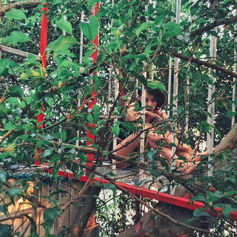 Dao Anh Khanh Tree House Ανόι Εξωτερικό φωτογραφία