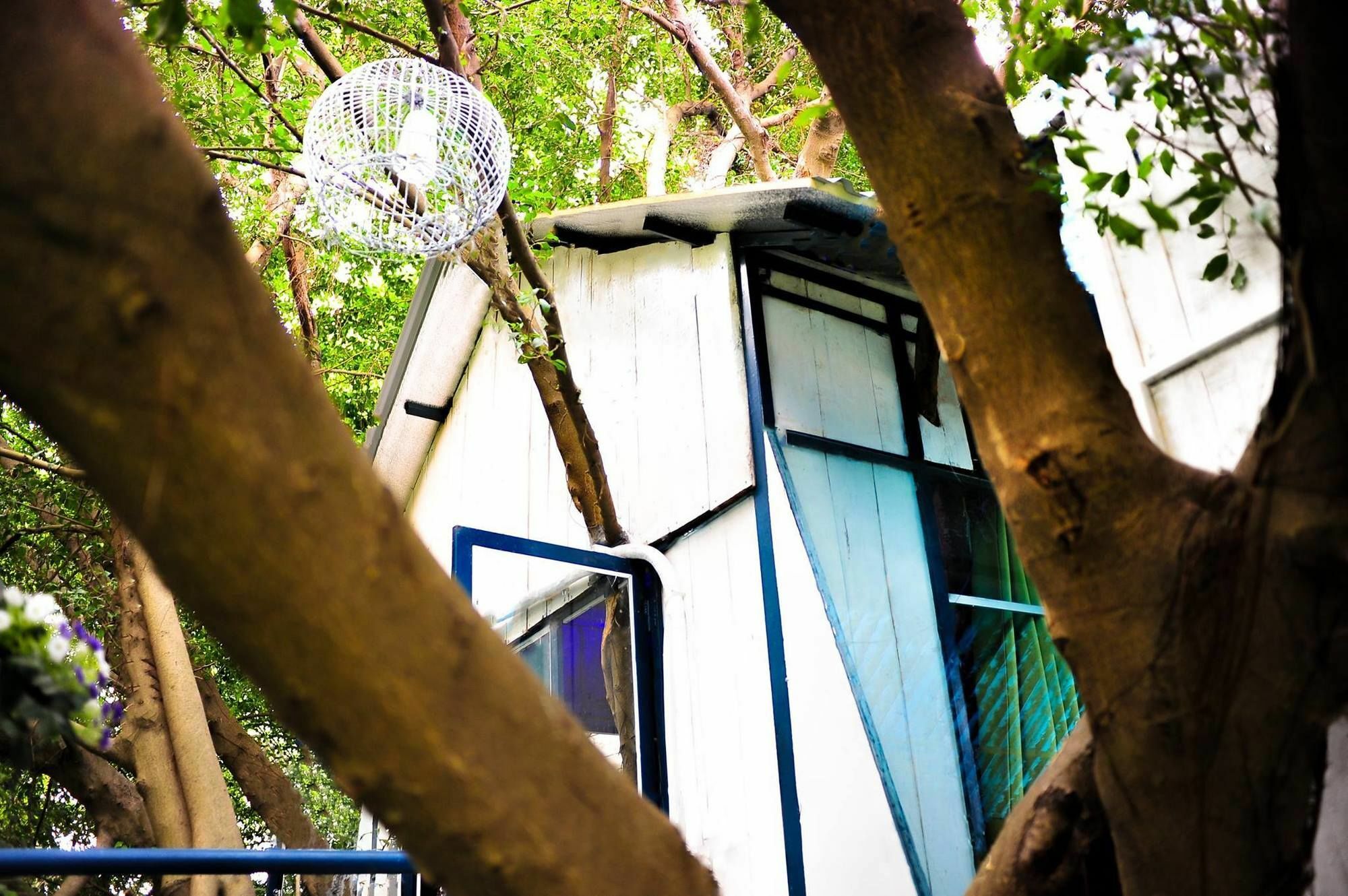 Dao Anh Khanh Tree House Ανόι Εξωτερικό φωτογραφία