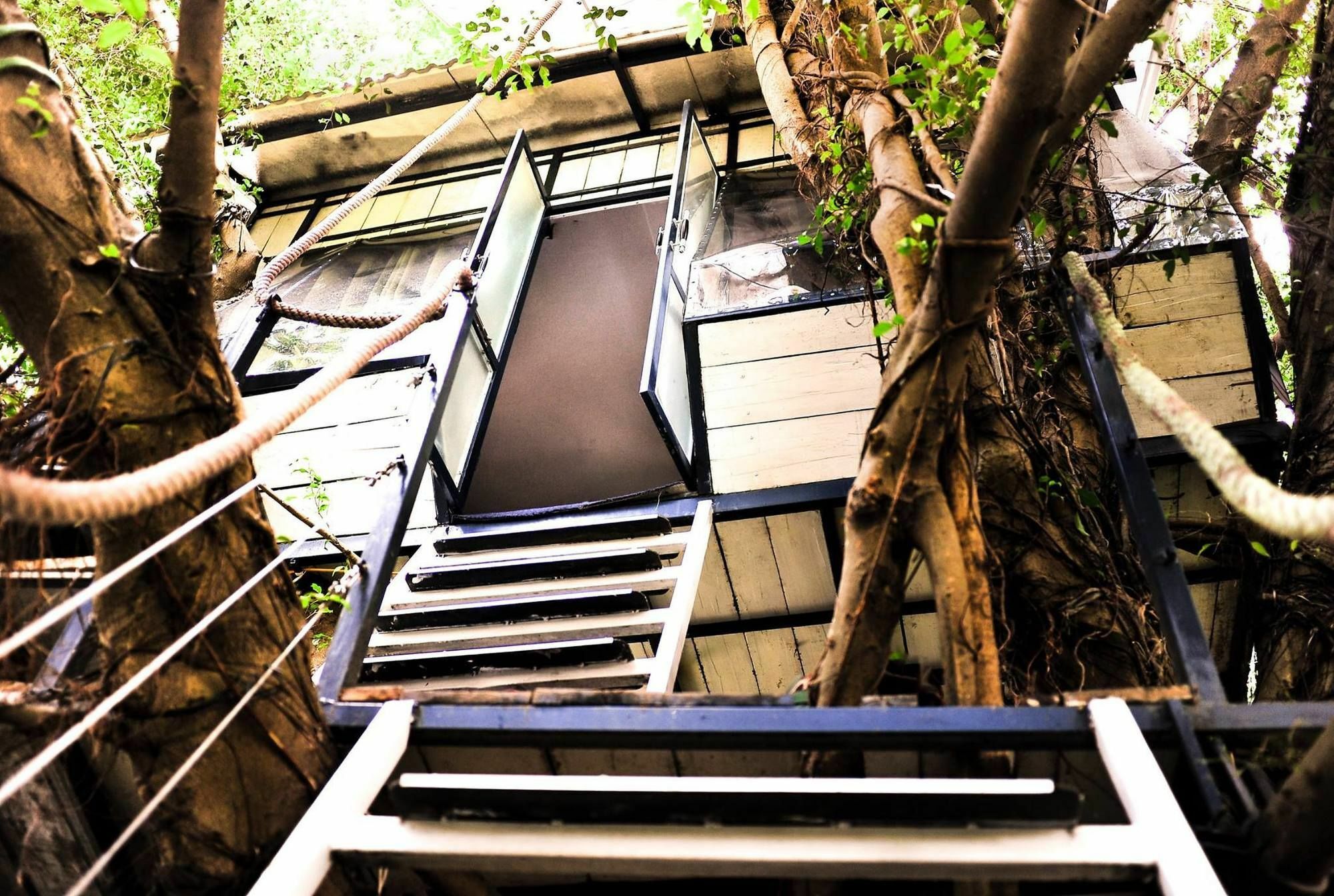 Dao Anh Khanh Tree House Ανόι Εξωτερικό φωτογραφία